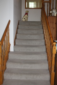stairs in home, with ceramic dog at top